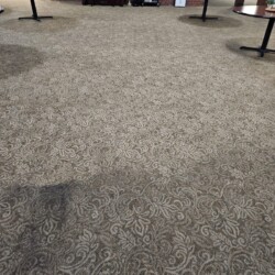Patterned carpeted floor with visible dark stains and several round tables spaced around the room.